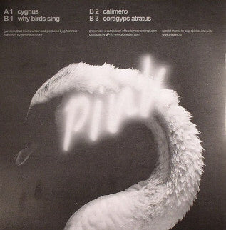 Alexis Tyrel – When Gray Turns Pink - New 12" Single Record 2007 Grayarea Netherlands Vinyl - Techno / Minimal