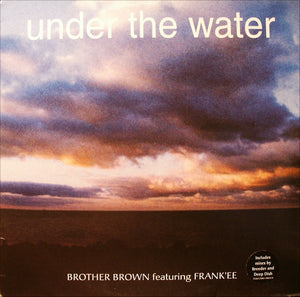 Brother Brown Featuring Frank'ee – Under The Water - VG+ 12" (UK Import) 1999 - Progressive House