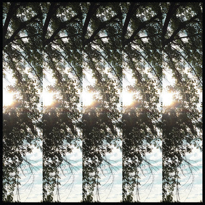 Pontiak ‎– Dialectic Of Ignorance - New Vinyl Record 2017 Limited Edition Thrill Jockey Translucent Yellow Vinyl + Download - Alt-Rock / Indie Rock - Shuga Records
