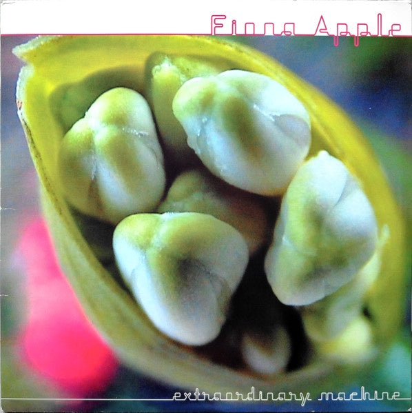 Fiona Apple - Extraordinary Machine (2005) - Mint- 2 LP Record 2023 Sony USA 180 gram Vinyl - Rock / Pop / Classic - Shuga Records