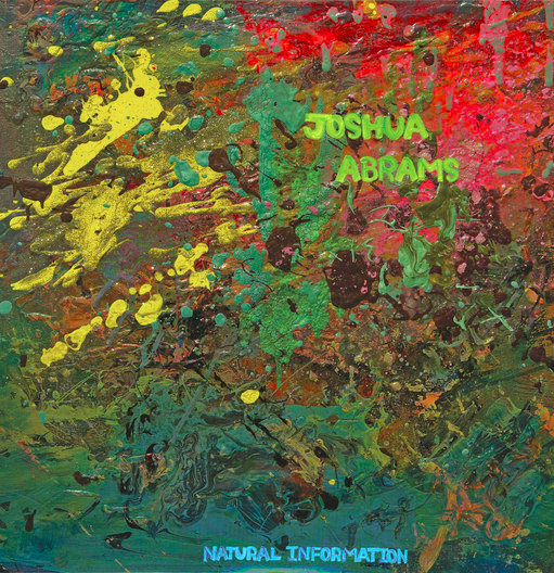 Joshua Abrams - Natural Information (2014) - Mint- LP Record 2020 Aguirre Belgium Black Vinyl & Insert - Avant-garde Jazz - Shuga Records