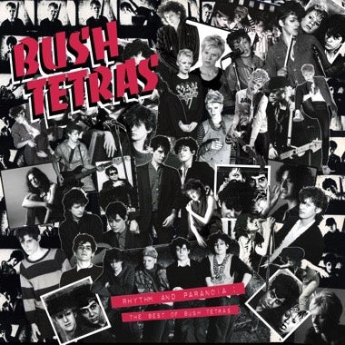 Bush Tetras - Rhythm and Paranoia: The Best of Bush Tetras - New 3 LP Record Box Set 2021 Wharf Cat 180 Gram Vinyl & Book - No Wave / Post Punk