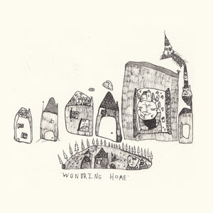 Hums + Haws - Wondering Home - New Vinyl Record 2015 Limited to 300 Copies - Chicago IL Experimental Rock / Indie / Basement Studio Recordings - Shuga Records