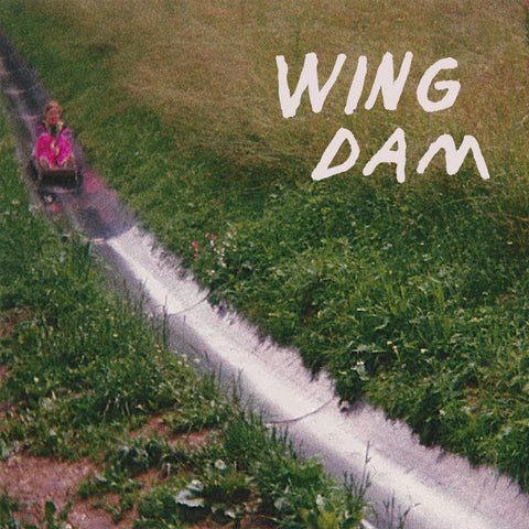 Wing Dam - Glow Ahead - New Vinyl Record 2016 Friends Records LP - Fuzz Pop / Indie Rock