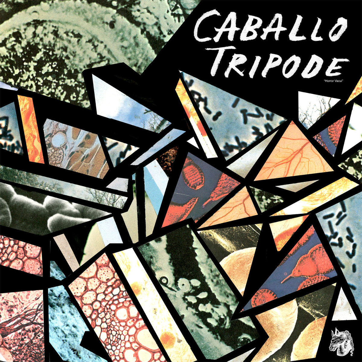 Caballo Tripode - Horror Vacui - New Lp Record 2009 Tic Tac Totally USA Chicago Vinyl - Indie Rock / Lo-Fi