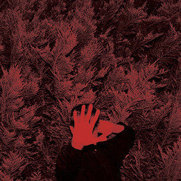 Cory Hanson - The Unborn Capitalist From Limbo - New LP Record 2016 Drag City Vinyl - Folk Rock /  Psychedelic