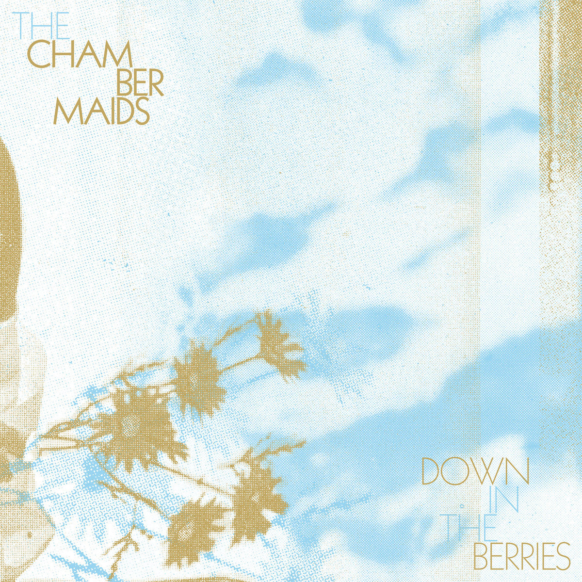 The Chambermaids ‎– Down In The Berries - New Lp Record 2009 Modern Radio USA Vinyl & Download - Shoegaze / Alternative Rock
