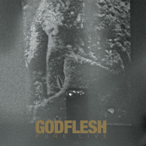 Godflesh – Pure : Live - New 2 LP Record 2023 Avalanche Worldwide Gold Gatefold Jacket Vinyl - Industrial Metal / Electronic / Rock /