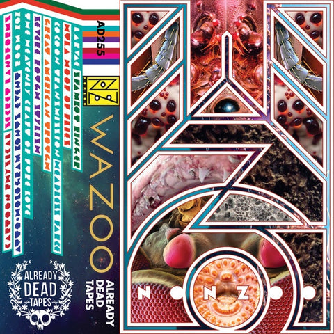 Nonzoo ‎– Wazoo - New Cassette 2017 Already Dead Pink Tape with Download - Chicago, IL Experimental / Noise Rock