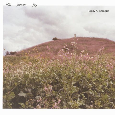 Emily A. Sprague – Hill, Flower, Fog - New LP Record 2021 Rvng Intl. Vinyl - Ambient / Minimal