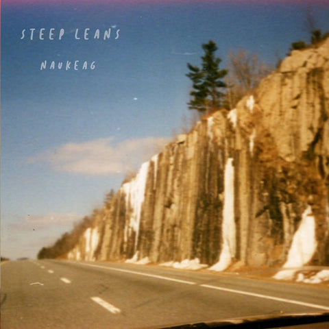 Steep Leans - Naukeg - New Vinyl Record LP 2019 - Psych Pop / Rock