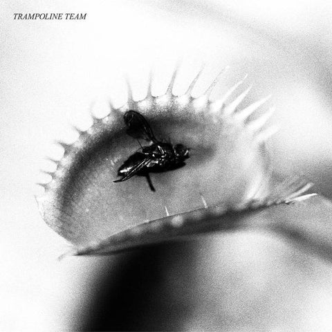 Trampoline Team ‎– S/T - New Vinyl LP Record HoZac 2019 - New Orleans Punk