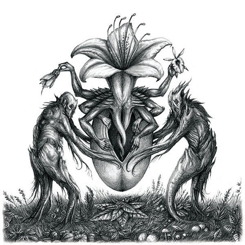 Botanist - IV: Mandragora - New Vinyl Record 2013 Flenser Records LP - Experimental Black Metal / Post-Black Metal