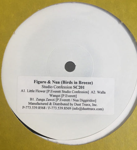Figaro & Nua ‎– Birds In Breeze - New 12" Single 2007 USA Promo Studio Confession Vinyl - Chicago House
