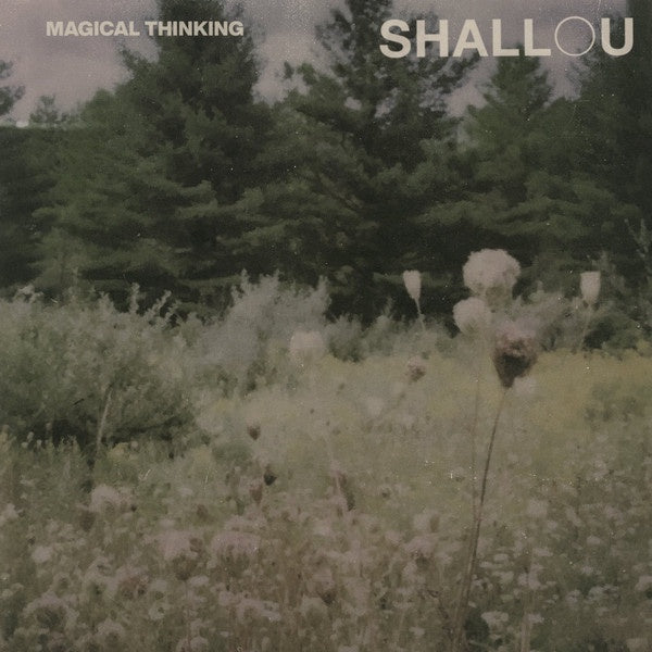 Shallou ‎– Magical Thinking - New LP Record 2020 Island USA Vinyl - Downtempo / Synth-pop