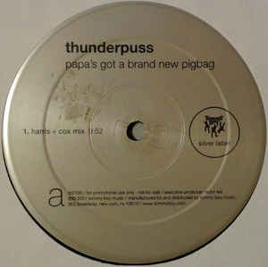 Thunderpuss - Papa's Got A Brand New Pigbag - VG+ 12" Single Record 2001 USA - House