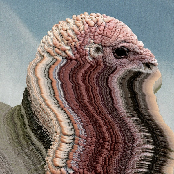 Holy Fuck ‎– Bird Brains - New 10" EP Record 2017 Innovative Leisure USA Electronic / Experimental - Shuga Records