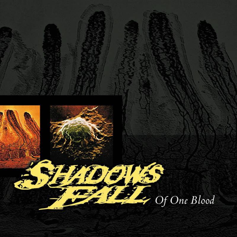 Shadows Fall ‎– Of One Blood (2000) - New LP Record Store Day Black Friday 2020 M-Theory Colored Vinyl - Heavy Metal