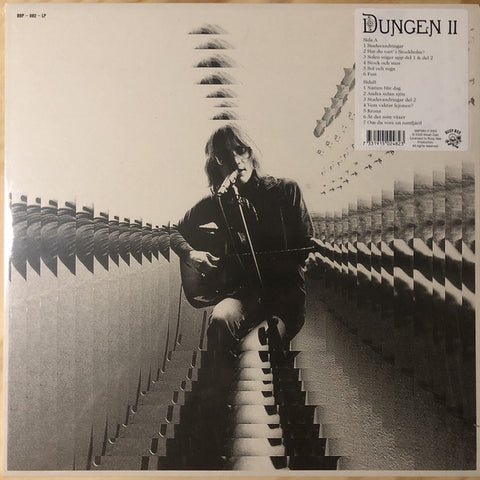 Dungen ‎– II (2002) - New LP Record 2021 Busy Bee Sweden Import Vinyl - Psychedelic Rock / Folk Rock