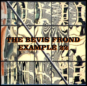 The Bevis Frond - Example 22 - New 2 Lp Record 2016 Shellshock UK Import Vinyl - Psychedelic Rock - Shuga Records