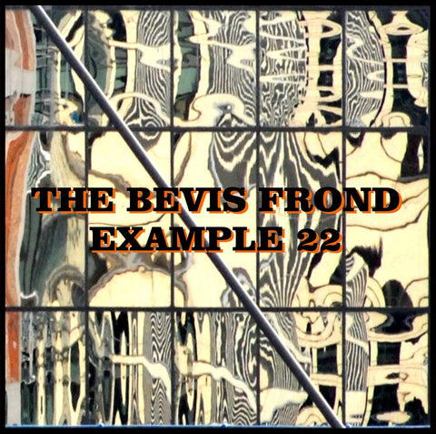 The Bevis Frond - Example 22 - New 2 Lp Record 2016 Shellshock UK Import Vinyl - Psychedelic Rock