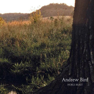 Andrew Bird - Noble Beast - New Lp Record 2009 USA Vinyl & Download - Indie Rock