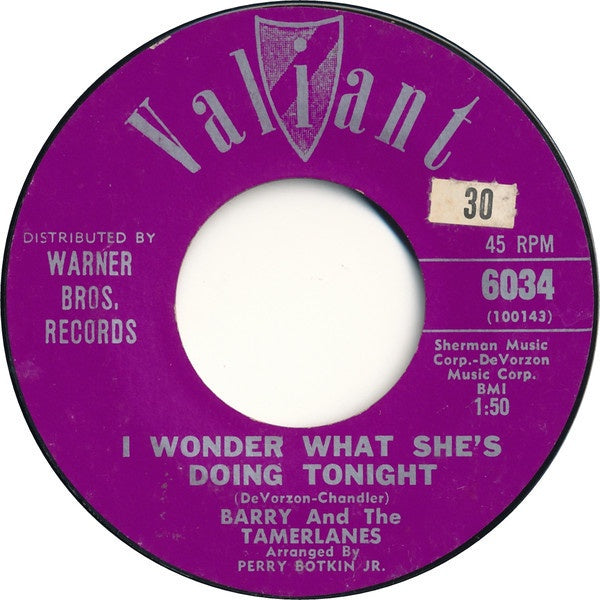 Barry And The Tamerlanes ‎- I Wonder What She's Doing Tonight - VG 7" Single 45 RPM 1963 USA - Rock / Pop