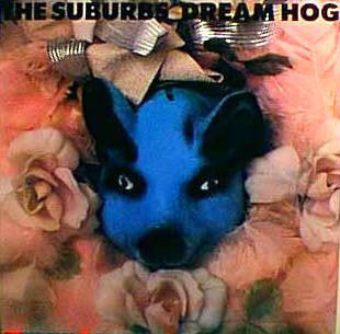 The Suburbs – Dream Hog - VG+ LP Record 1982 Twin/Tone USA Vinyl - Alternative Rock