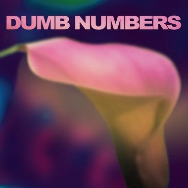 Dumb Numbers - S/T - New Vinyl Record 2013 Joyful Noise Blue Vinyl LP + Download. Feat Lou + Murph from Dino Jr, Dale Crover (Melvins!) - Dark / Slow Indie Rock w/ some Psych / Shoegaze vibes thrown in. - Shuga Records