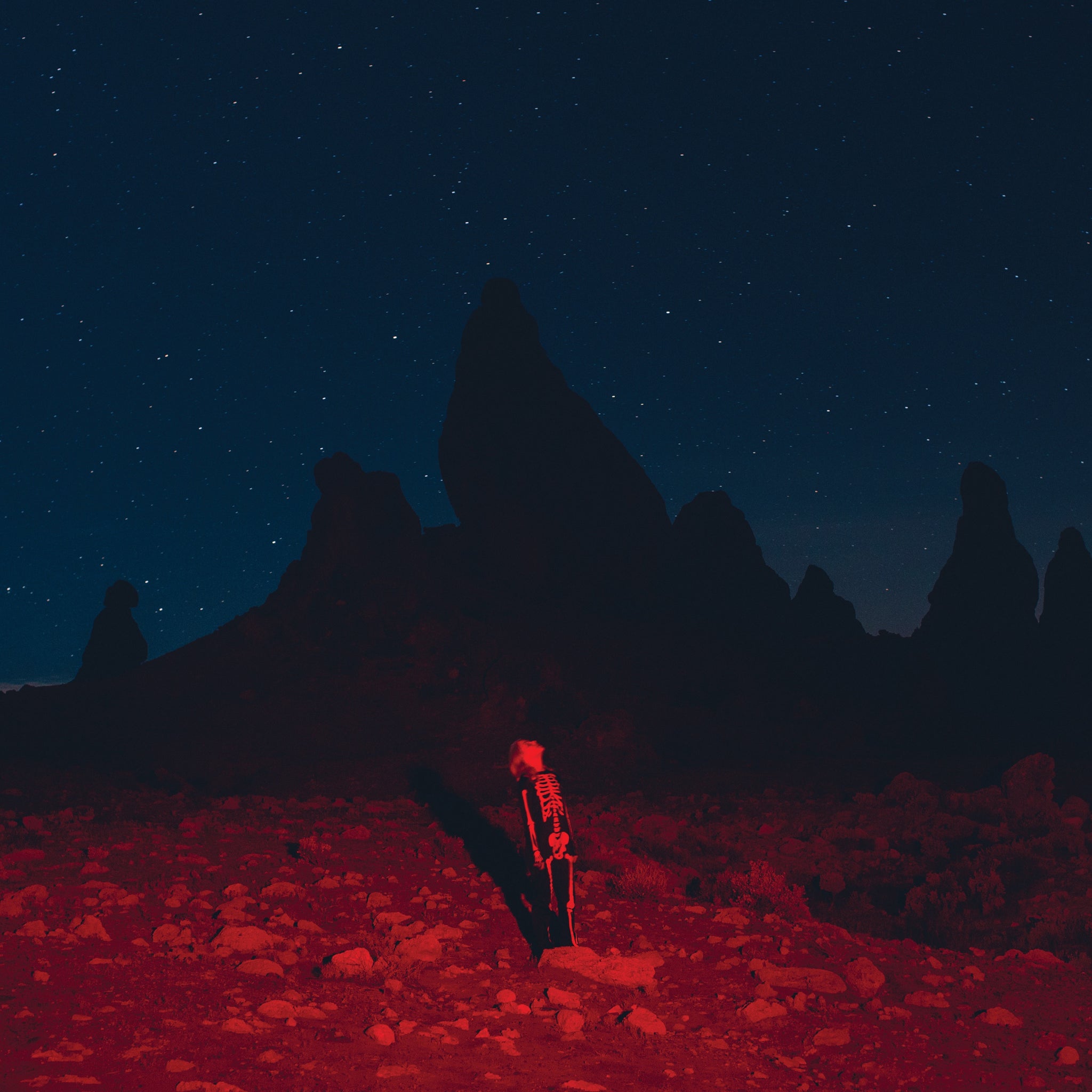 Phoebe Bridgers - Punisher - New LP Record 2020 Dead Oceans USA Indie Exclusive Red and Swirly Vinyl - Indie Rock / Indie Folk - Shuga Records