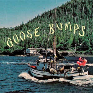 Boyscott ‎– Goosebumps (2015) - New LP Record 2021 Topshelf Yellow + Green A-Side / B-Side Vinyl - Indie Rock / Folk