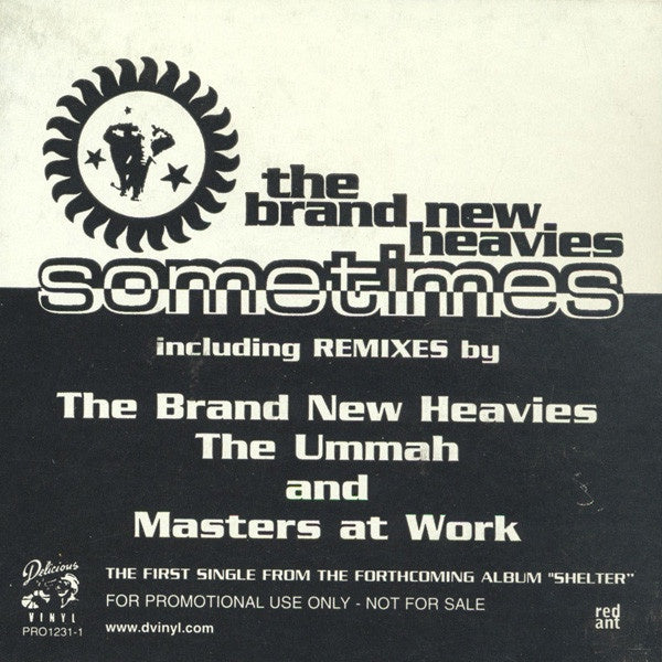 The Brand New Heavies ‎– Sometimes - VG+ 2x 12" Single Record 1997 Delicious Vinyl USA Promo - House / Acid Jazz / Downtempo / Ambient