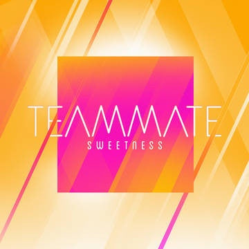 TeamMate, Mike Taylor ‎– Sweetness / Electric Feel - New 7" Single Record Store Day 2017 Rostrum USA VINYL RSD - Indie Pop
