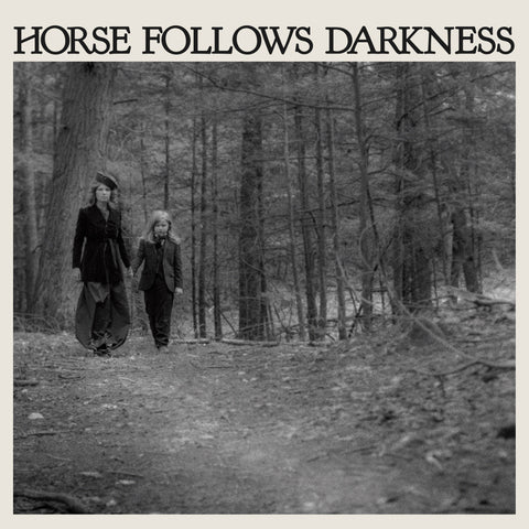 Delia Gonzalez - Horse Follows Darkness - New Vinyl Record 2017 DFA Pressing - Electronic / Minimal / Classical