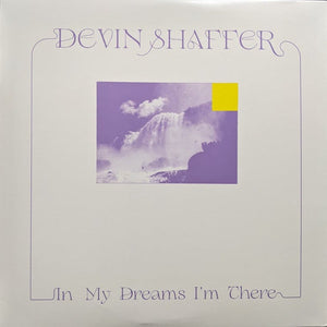 Devin Shaffer – In My Dreams I'm There - New LP Record 2021 American Dreams Clear  Vinyl - Chicago Local Ambient / Folk / Experimental