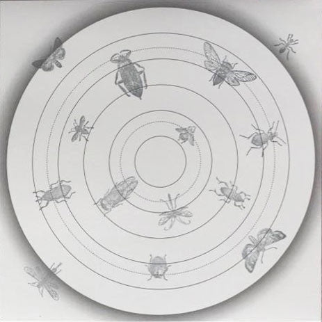 O Yuki Conjugate ‎– Insect-Talk (Silver Insects) - New 12" Single Record 2019 UK Import Vinyl & Screened Cover (75 made) - Ambient / Techno / Tribal