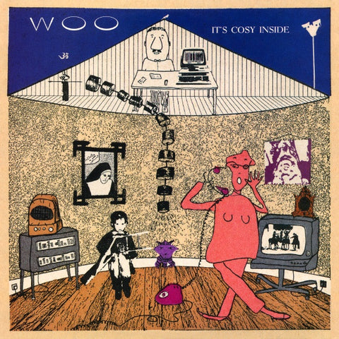Woo ‎– It's Cosy Inside - New LP Record 2012 Drag City USA Vinyl - Electronic / Ambient / Rock
