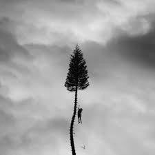 Manchester Orchestra ‎– A Black Mile To The Surface (2017) - New 2 LP Record 2022 Loma Vista Favorite Gentlemen Vinyl & Download - Indie Rock / Post Rock - Shuga Records