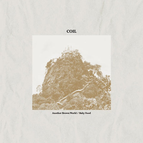 Coil ‎– Another Brown World / Baby Food - New Vinyl Record 2017 Sub Rosa Pressing - Electronic / Industrial