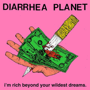 Diarrhea Planet ‎– I'm Rich Beyond Your Wildest Dreams - New LP Record 2014 Infinity Cat Black Vinyl & Download - Punk / Garage Rock - Shuga Records