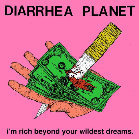 Diarrhea Planet ‎– I'm Rich Beyond Your Wildest Dreams - New LP Record 2014 Infinity Cat Black Vinyl & Download - Punk / Garage Rock