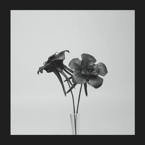 Jlin - Dark Lotus - New 12" Single 2017 Planet Mu Vinyl - Juke / Footwork / Hip Hop