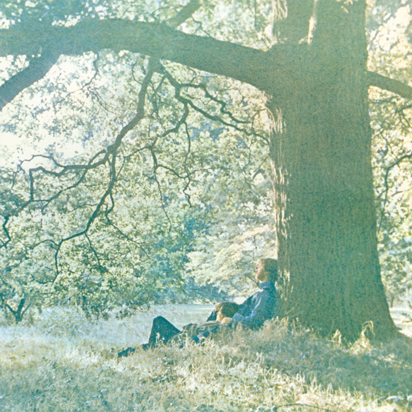 Yoko Ono / Plastic Ono Band ‎– Plastic Ono Band (1970) - New LP Record 2016 Secretly Canadian USA Vinyl - Art Rock / Avantgarde