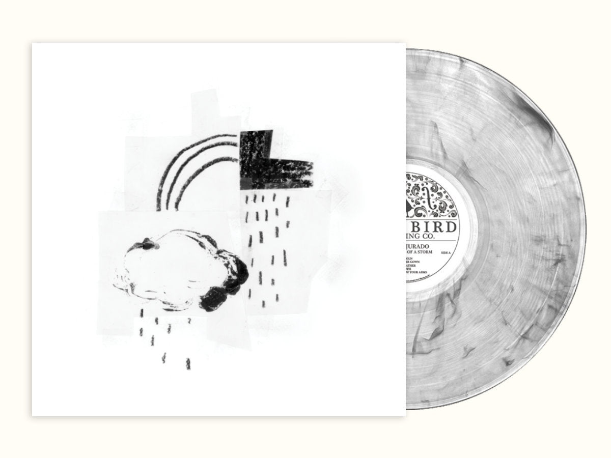 Damien Jurado - In The Shape Of A Storm - New Lp 2019 Mama Bird Indie Exclusive on 'Aspen Bark' Colored Vinyl with Download - Indie Rock / Americana