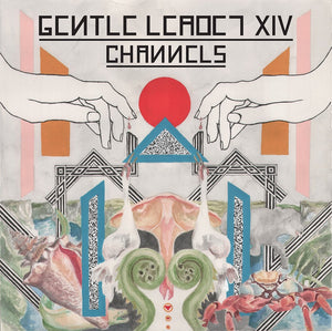 Gentle Leader XIV - Channels - New Vinyl Lp 2018 Moniker Records Pressing - Chicago, IL Dark Synth-Pop