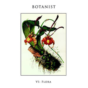 Botanist - VI: Flora - New Vinyl Record 2014 The Flenser Records LP on Unknown Color Vinyl - Avant Garde / Experimental Black Metal