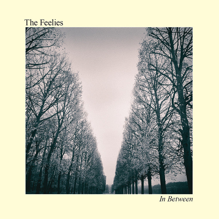 The Feelies - In Between - New LP Record 2017 Bar None Records Vinyl & Download - Indie Rock / Jangle Pop