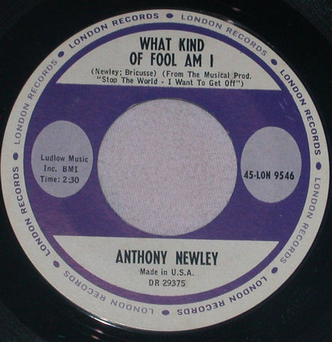 Anthony Newley ‎– What Kind Of Fool Am I / Gonna Build A Mountain - Mint- 45rpm 1961 USA London Records - Pop / Musical