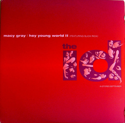 Macy Gray Feat. Slick Rick - Hey Young World II VG+ - 12" Single 2001 Epic USA - Hip Hop