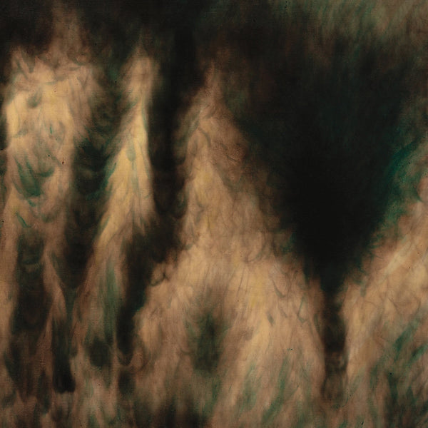 William Basinski - Lamentations - Mint- 2 LP Record 2021 Temporary Residence Pearlescent Bronze Vinyl & Download - Electronic / Ambient - Shuga Records